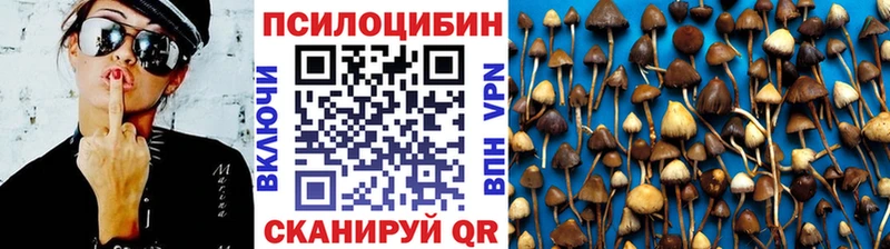 Галлюциногенные грибы ЛСД  Купить закладки  Перевоз 